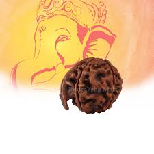 ganesh mukhi rudraksha benefits