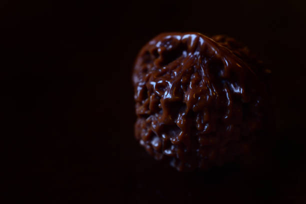 5 Mukhi Rudraksha Sahakara Nagar